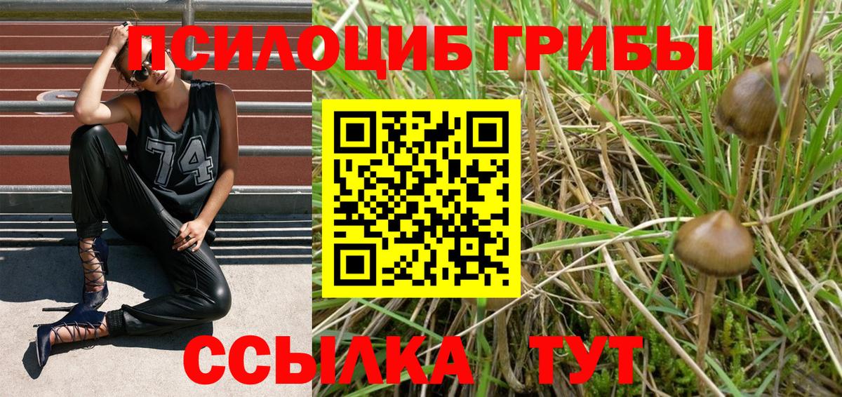 Галлюциногенные грибы прущие грибы Находка