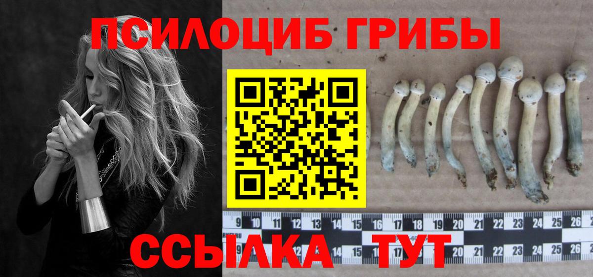 наркошоп  Галлюциногенные грибы MAGIC MUSHROOMS  Вход с VPN  Псилоцибиновые грибы ЛСД  Находка 